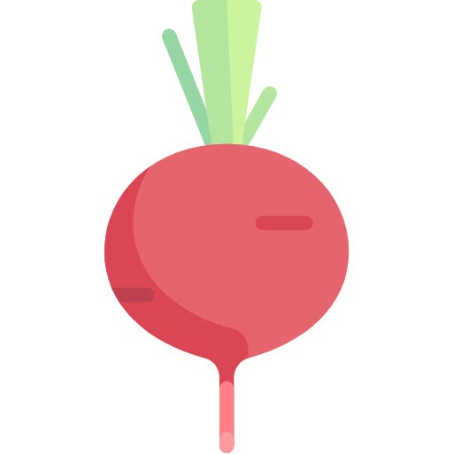 Radish Roots