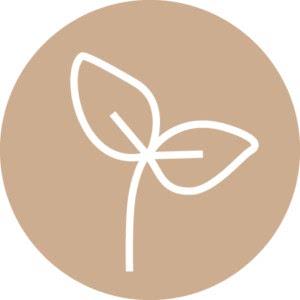 plantbaes.com