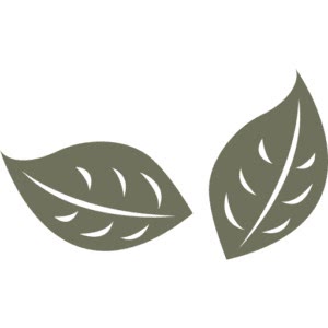 ohsweetbasil.com